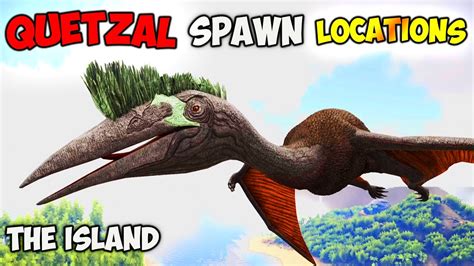 quetzal kibble|quetzal spawn locations the island.